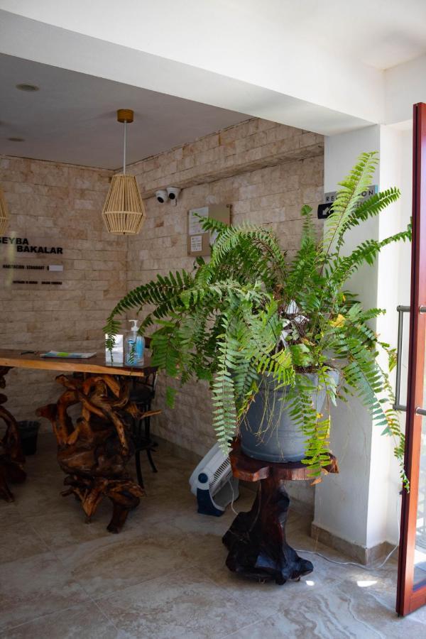 Hotel Seyba Bakalar Bacalar Esterno foto